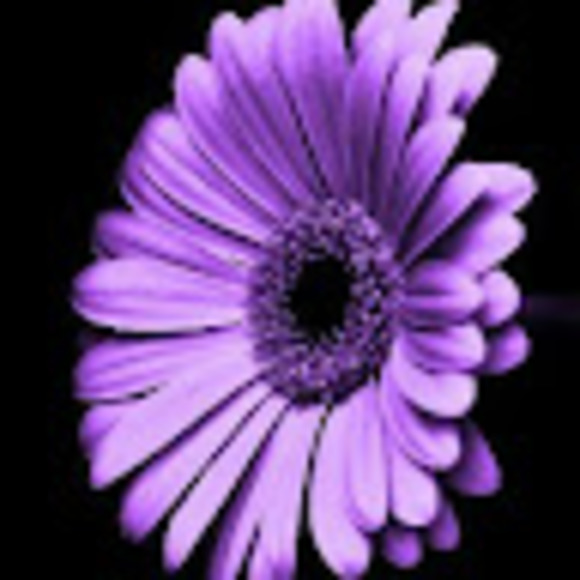 lauraguillen110